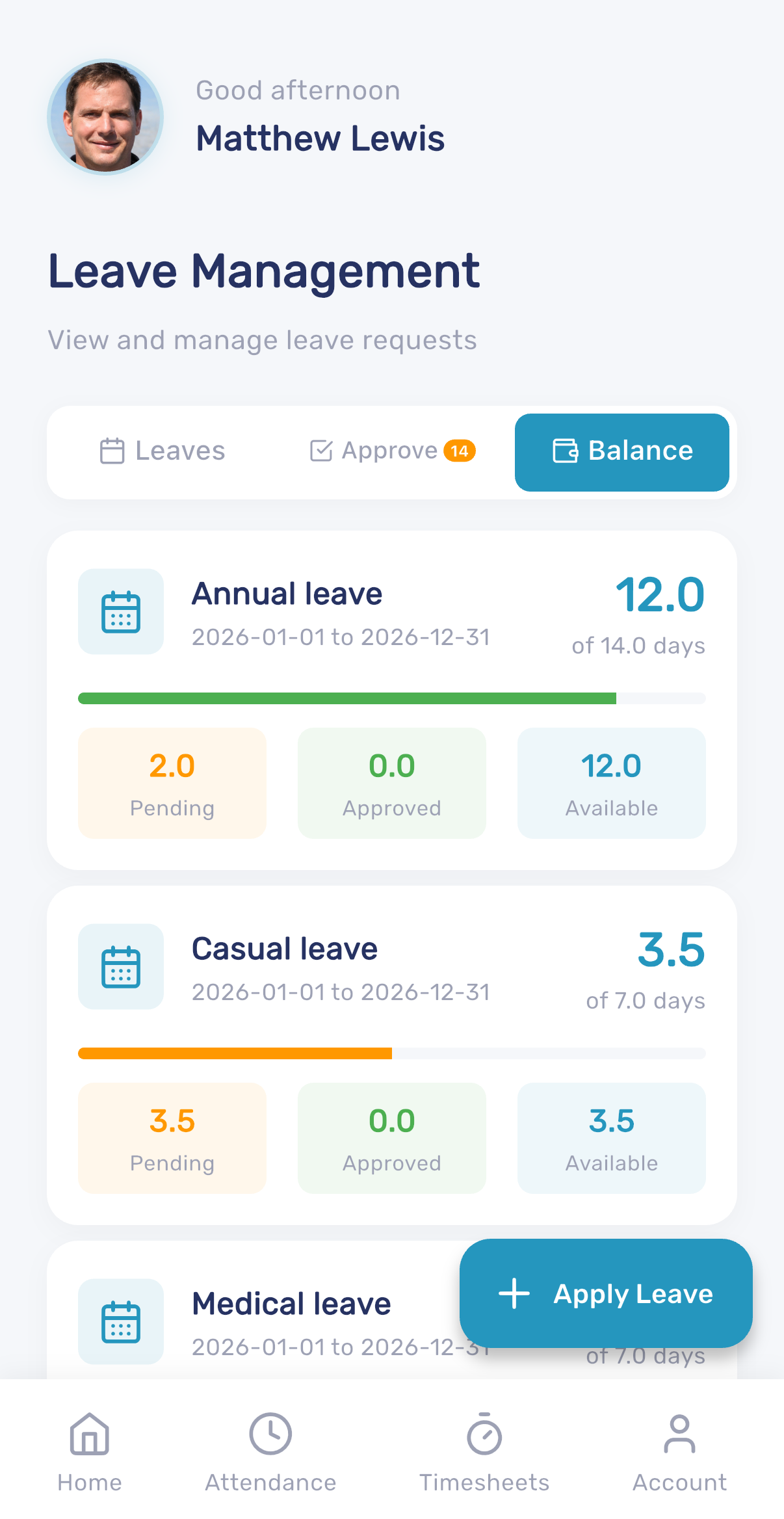 Leave balance overview