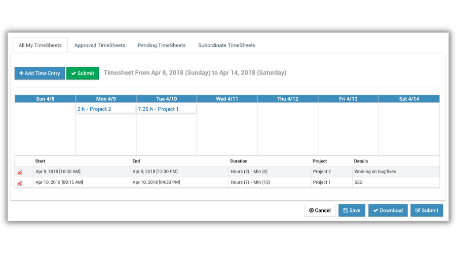 Detailed Timesheet Entry