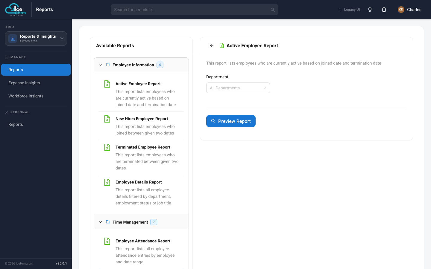 A report's filters and the Preview button
