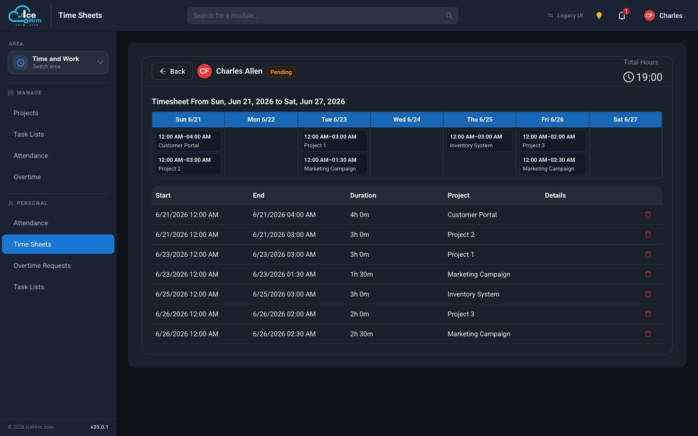 Timesheet detail with daily entries